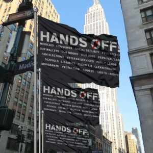 Hands Off Protest-Subtle Anti Trump Flag