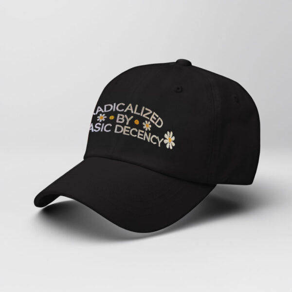 Anti-Trump-Hat,-Embroidered-Radicalized-By-Basic-Decency-Hat