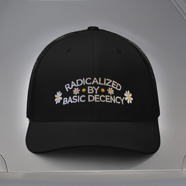 Anti-Trump-Hat,-Embroidered-Radicalized-By-Basic-Decency-Hat-us