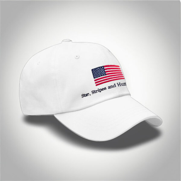 Anti-Trump-Hat,-Star-Stripes-And-Human-Rights-Hat-us