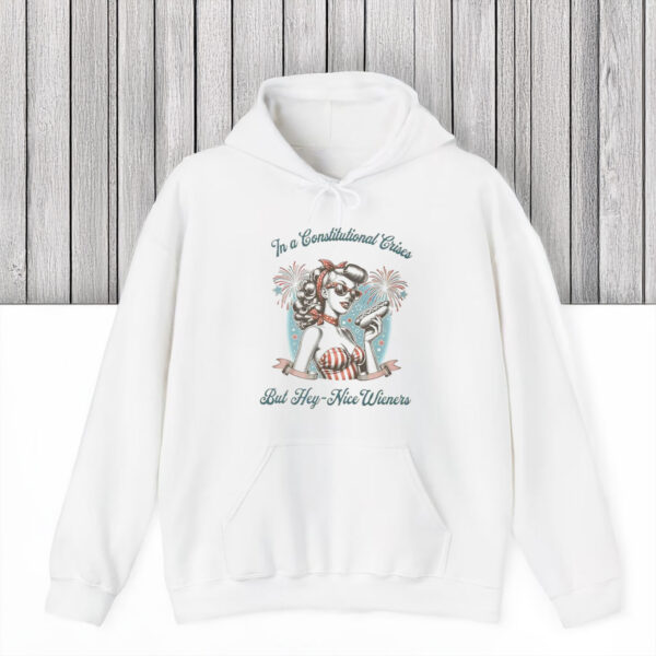 Anti-Trump-Shirt,-But-Hey-Nice-Wieners-Shirt-usa