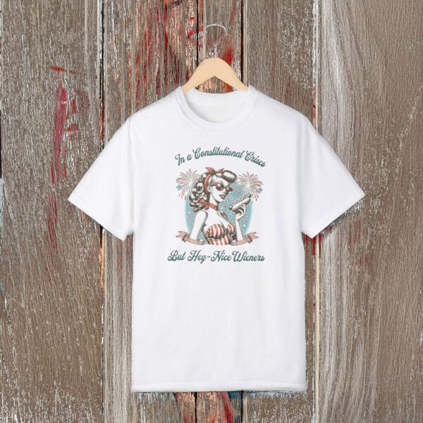 Anti-Trump-Shirt,-But-Hey-Nice-Wieners-Shirts