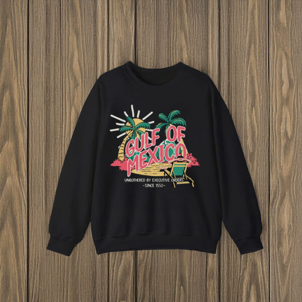 Anti-Trump-Shirt,-Gulf-of-Mexico-Shirt-us