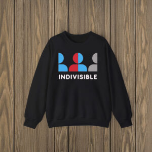 Anti-Trump-Shirt,-Indivisible-Protest-Shirt-us