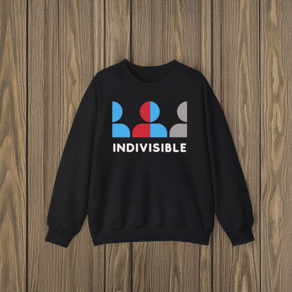 Anti-Trump-Shirt,-Indivisible-Protest-Shirt-us